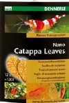 DENNERLE NANO CATAPPA LEAVES