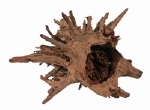 HS AQUA CORBO ROOT HOUT LARGE 40-60CM