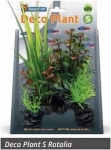 SF DECO PLANT ROTALA S