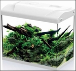 HS AQUARIUM PLATY 30 LED WIT 39X22X36CM